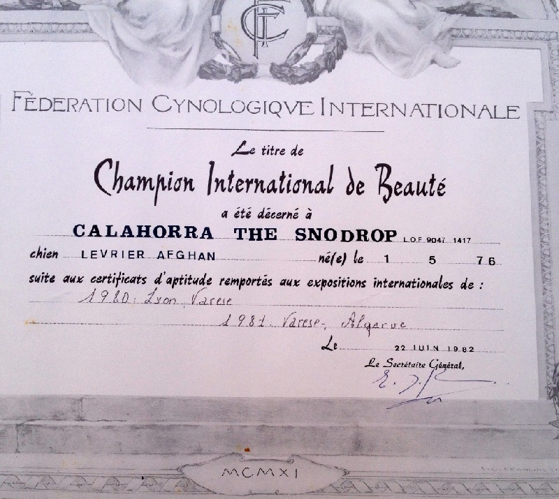 championats
